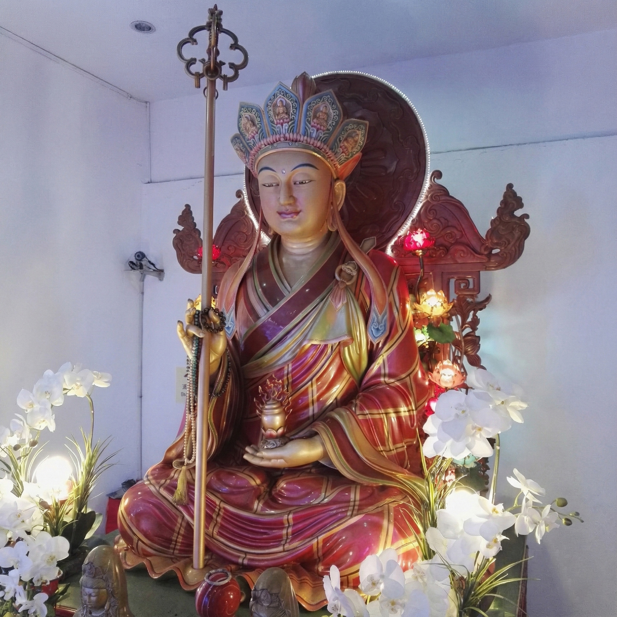 IMG_20160105_122328 (2)