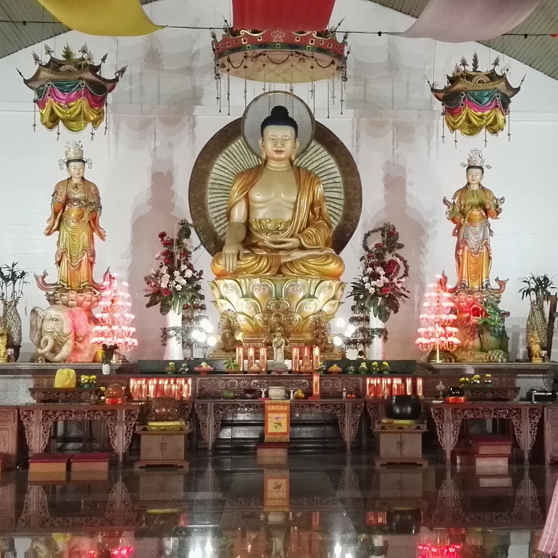 IMG_20160105_124230 (2)